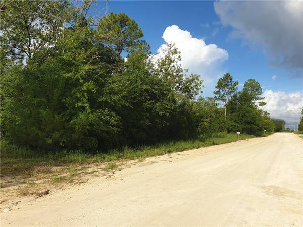 TBD NE 63RD PL, Williston, FL 32696