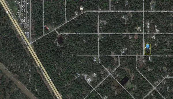 Crystal River, FL 34428,12625 W FLAXEN DR