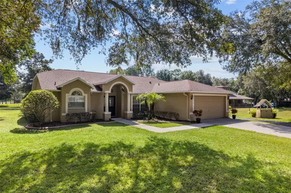 Wesley Chapel, FL 33544,27015 GOLDEN MEADOW DR