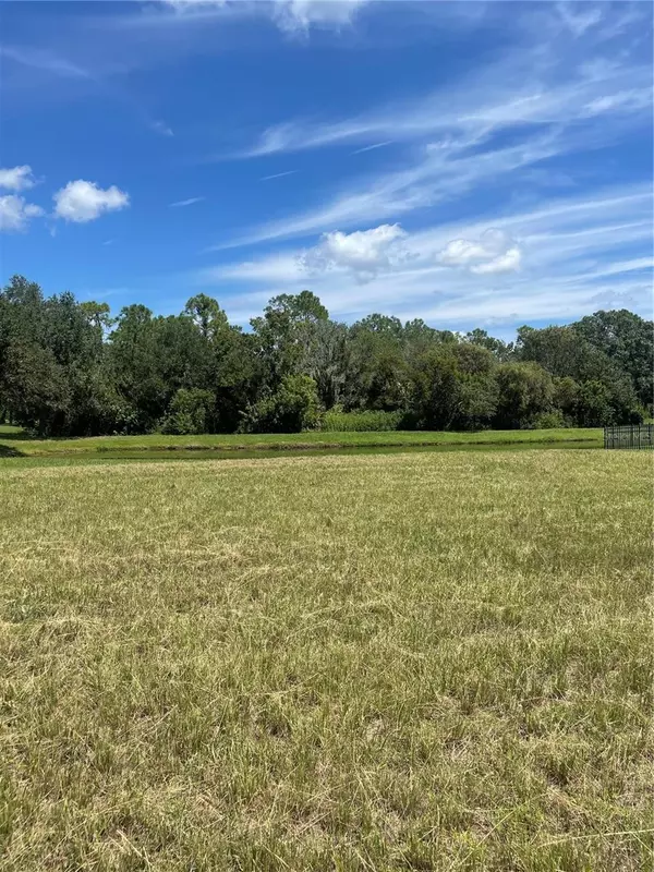 Parrish, FL 34219,16202 29TH CT E