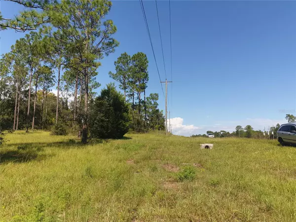 Bronson, FL 32621,TBD NE 65TH LN