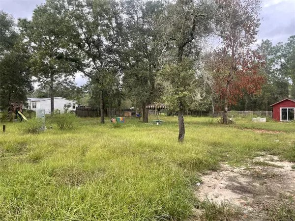 Williston, FL 32696,650 NE 136TH CT