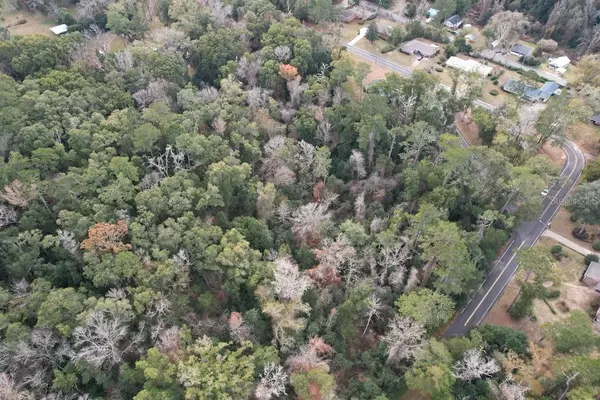 Quincy, FL 32351,217 ELISE DR