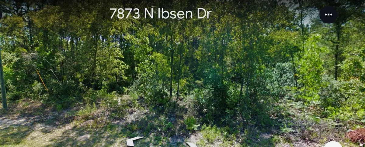 Citrus Springs, FL 34433,7873 N IBSEN DR