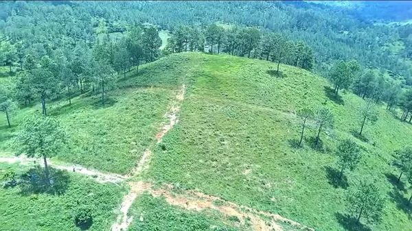 San Antonio De Cortes, 10000,LOMAS DE BELLA VISTA