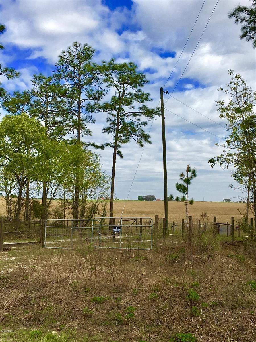 NW FALCON AVE, Dunnellon, FL 34431