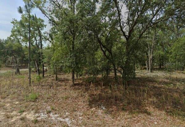 1592 W SWANSON DR, Citrus Springs, FL 34434