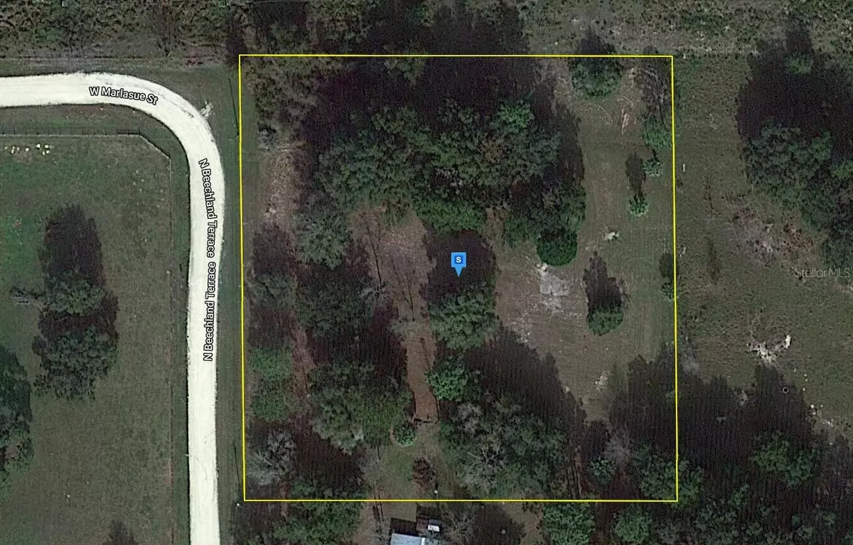 Crystal River, FL 34428,9925 N BEECHLAND TER