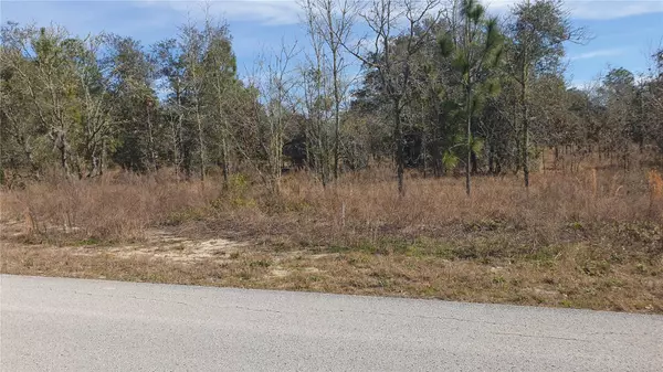 Dunnellon, FL 34431,SE VIBURNUM RD