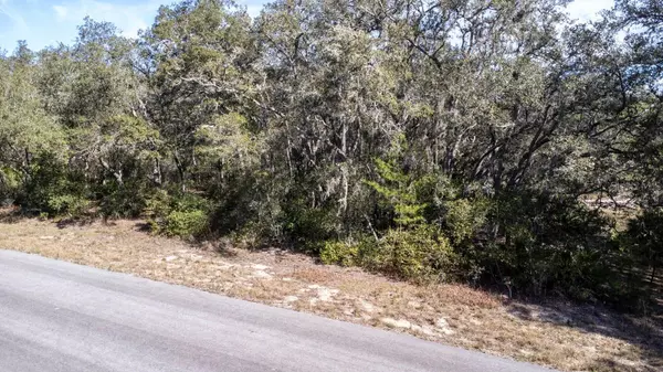 Ocklawaha, FL 32179,Lot 5 FISHER TER