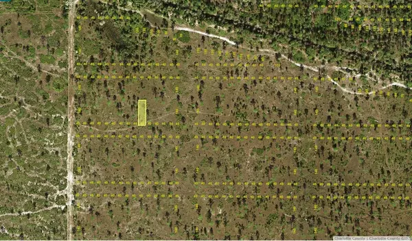 Punta Gorda, FL 33982,Lot 1 INACCESSIBLE TRAK