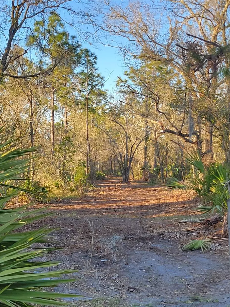 Myakka City, FL 34251,5424 WAUCHULA RD