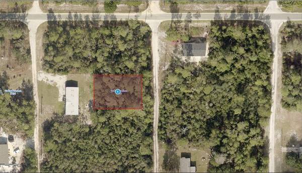 14-17-28-0200-014-02900 OAK ST, Paisley, FL 32767