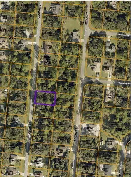 CLORAS ST, North Port, FL 34287