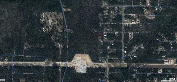 Defuniak Springs, FL 32433,17-3N-20-28080-089-0010 W SNOWDROP ST