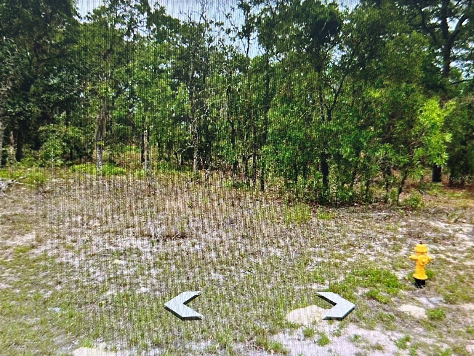 Citrus Springs, FL 34434,2466 W SWANSON DR