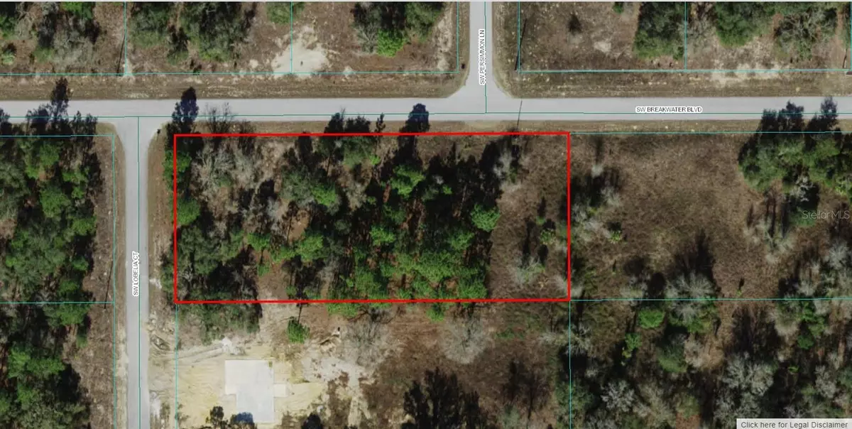 Dunnellon, FL 34431,1804-013-042 SW LOBELIA