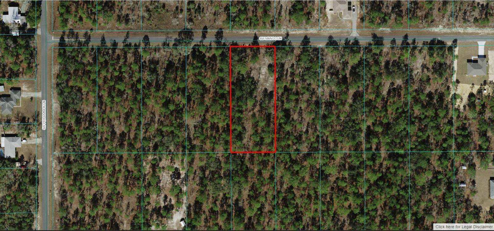 1806-005-020 SW MANGO LN, Dunnellon, FL 34431