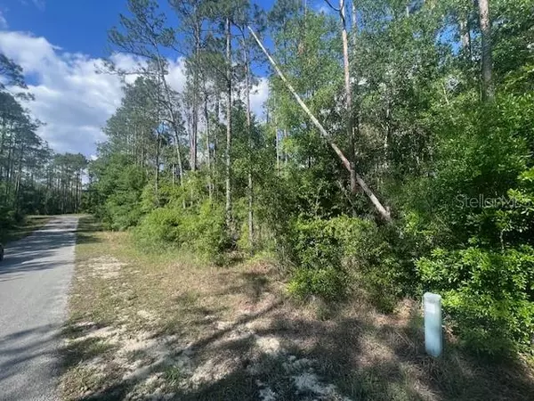 Dunnellon, FL 34431,TBD FRESHWATER CT