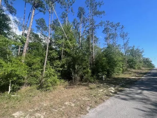 Dunnellon, FL 34431,TBD FRESHWATER CT