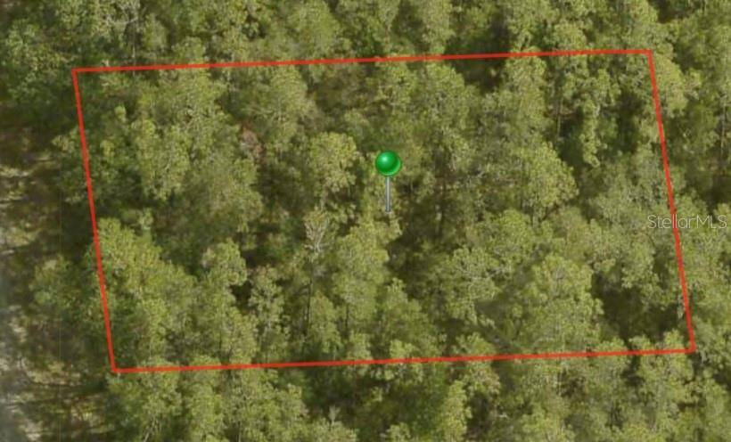 Dunnellon, FL 34434,8759 N SAWYER TER