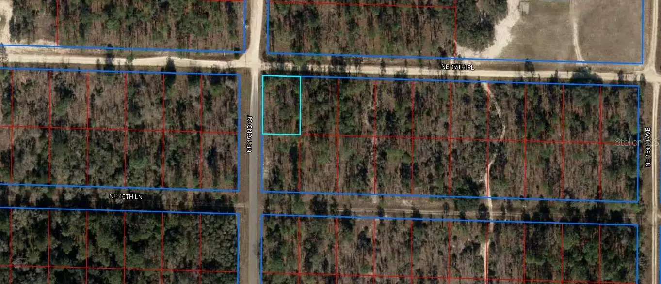 NE 152ND COURT, Williston, FL 32696