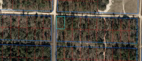 NE 152ND COURT, Williston, FL 32696