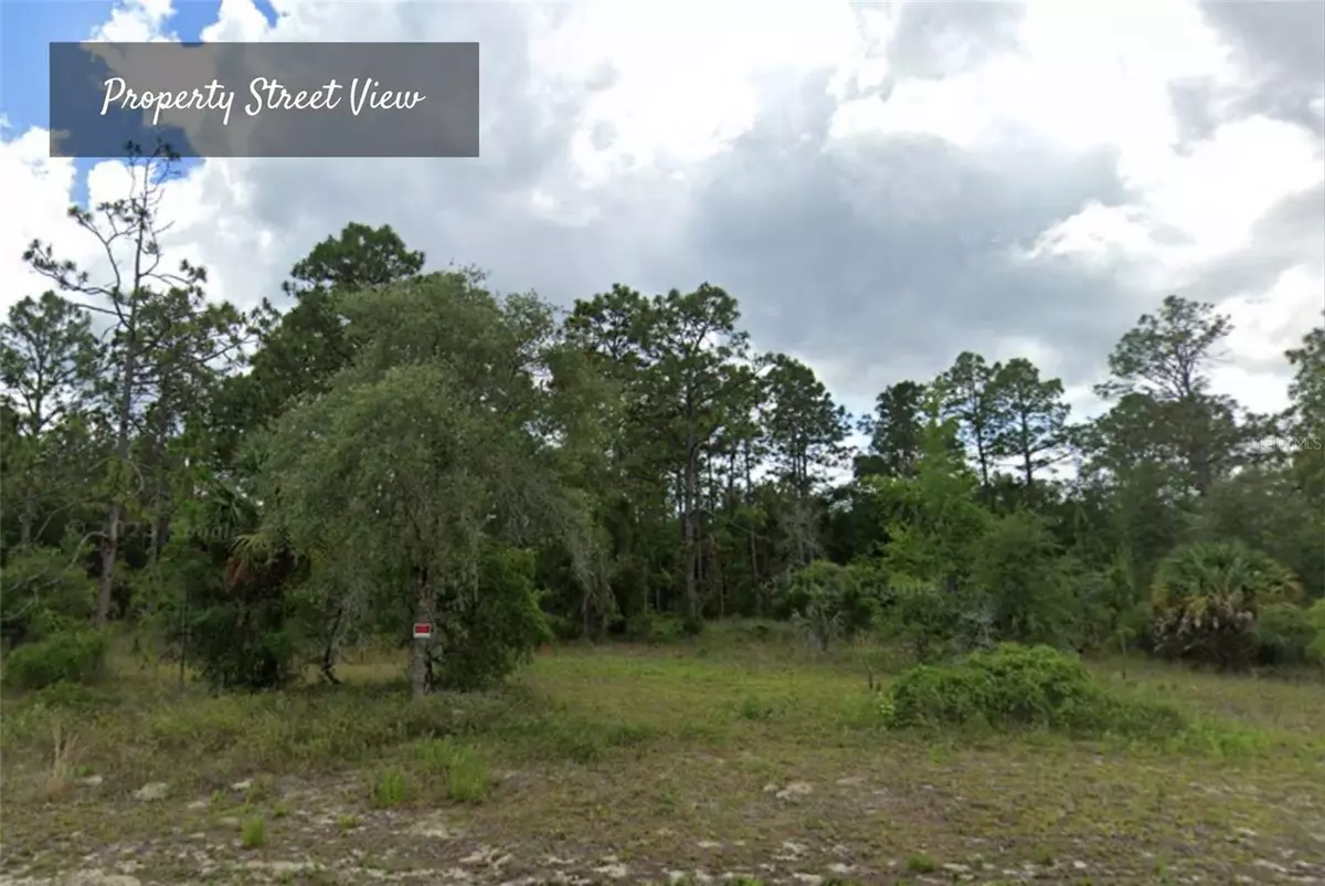 Dunnellon, FL 34431,0 SE 125TH CT