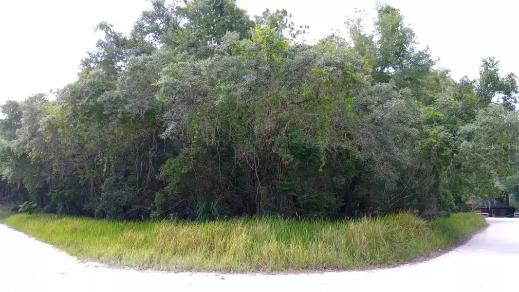 SE 10TH ST, Silver Springs, FL 34488