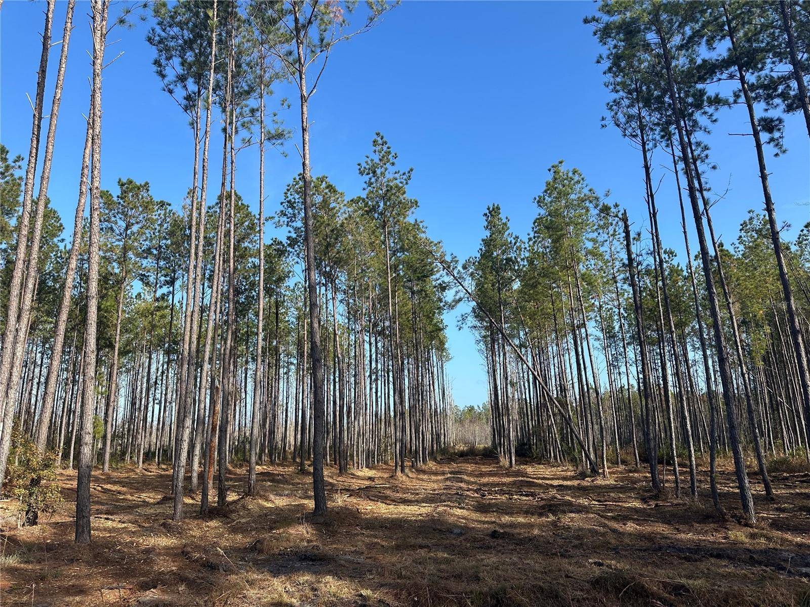 TBD NW 133RD PATH, Lake Butler, FL 32054