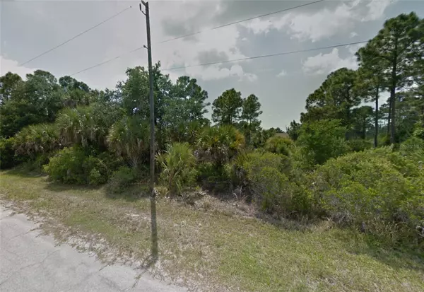 North Port, FL 34291,Lot 20 & 21 SAGO PALM RD