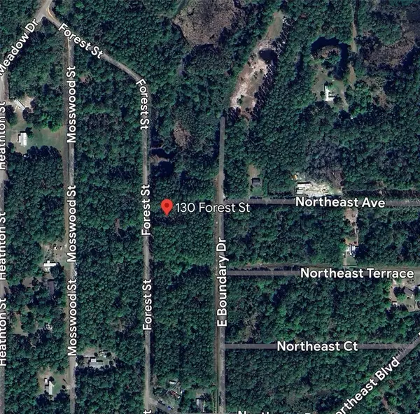 Georgetown, FL 32139,130 FOREST ST