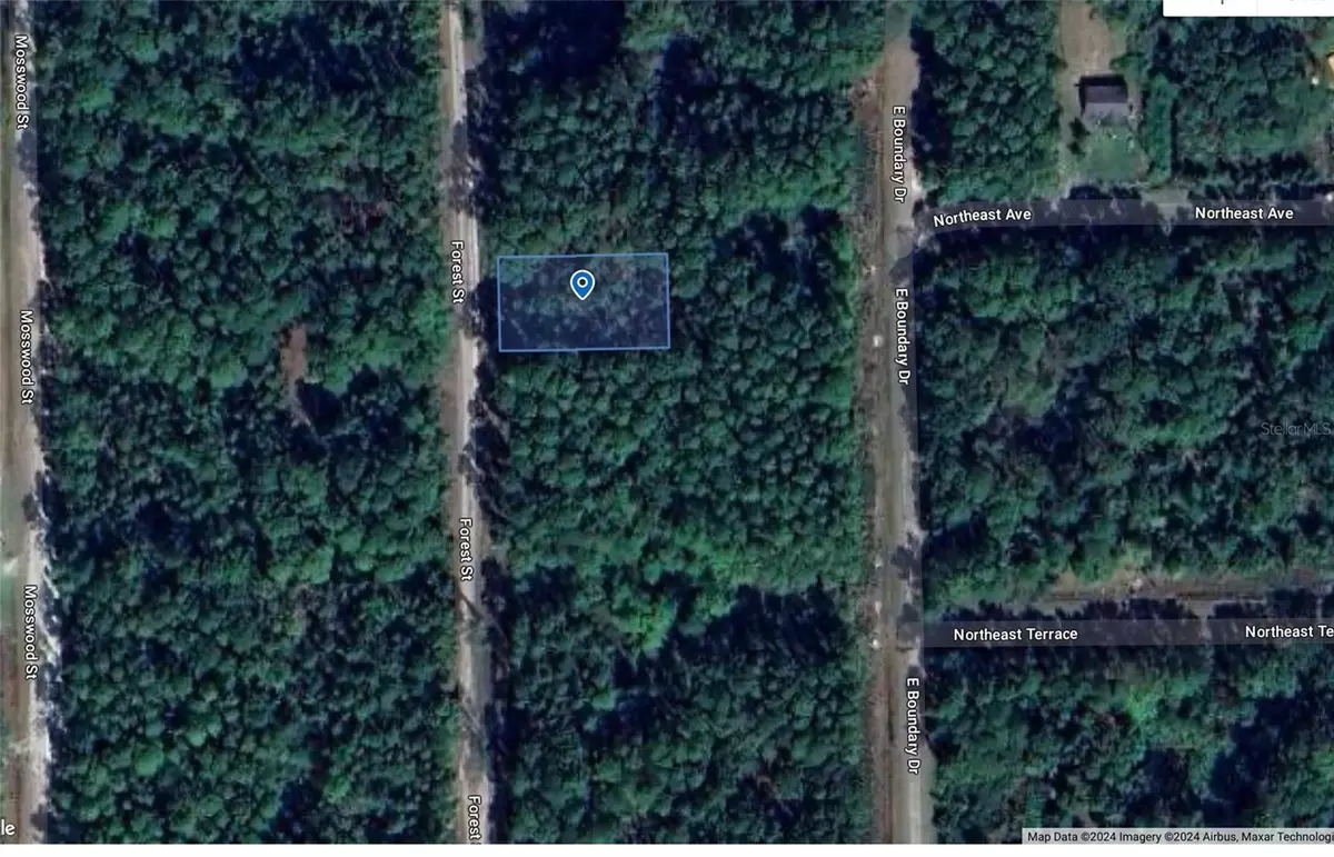 Georgetown, FL 32139,130 FOREST ST