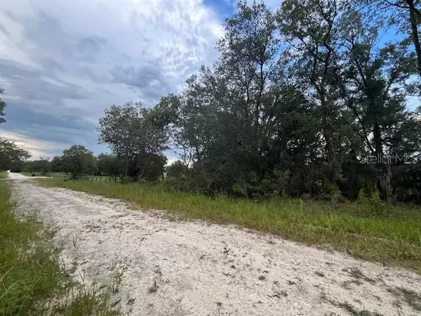 Morriston, FL 32668,TBD SE 71ST LN