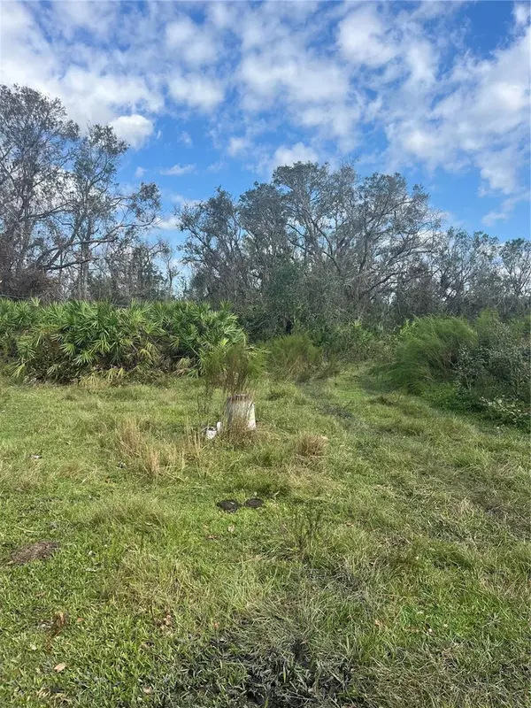 Myakka City, FL 34251,39450 SR-70 E