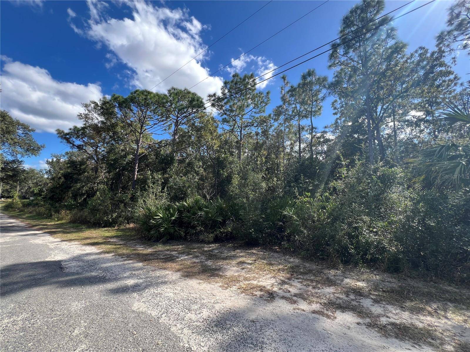 Crystal River, FL 34429,5650 W KETTLE LN