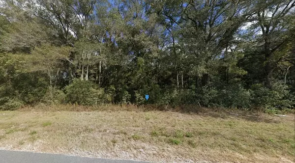 Bell, FL 32619,248 N HWY 129