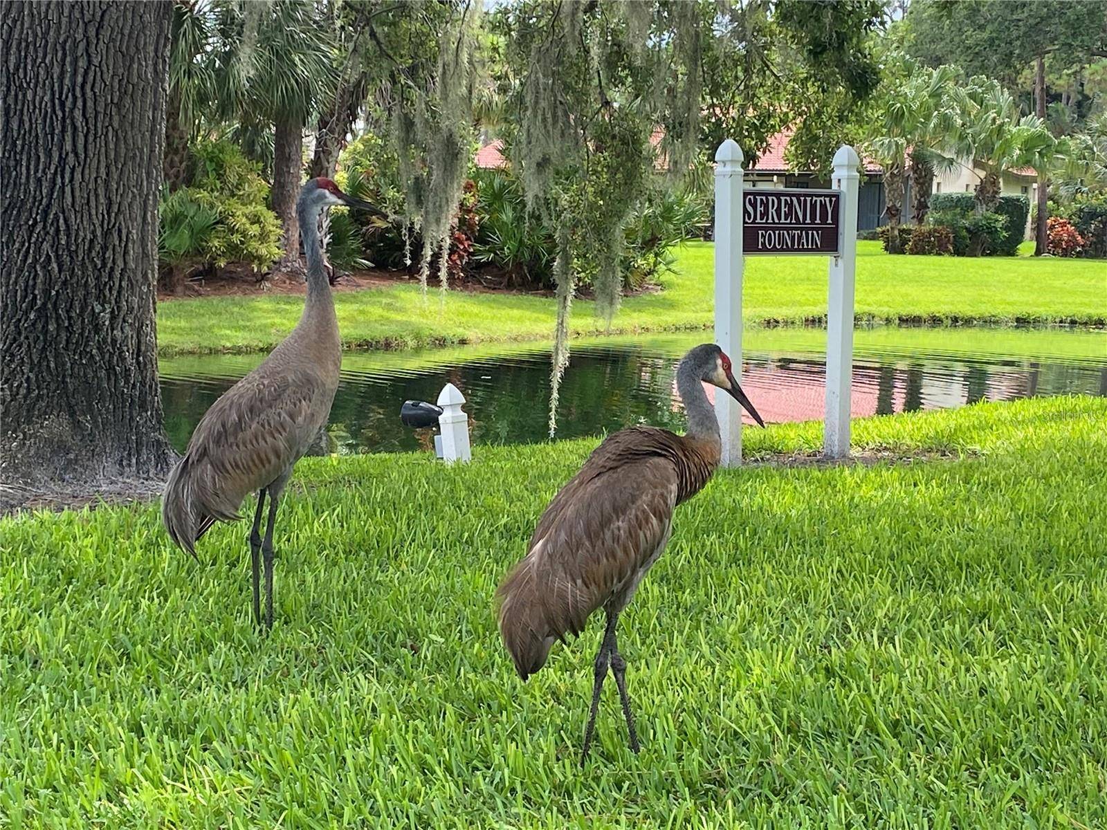 Sarasota, FL 34238,3711 PINECONE CT #168