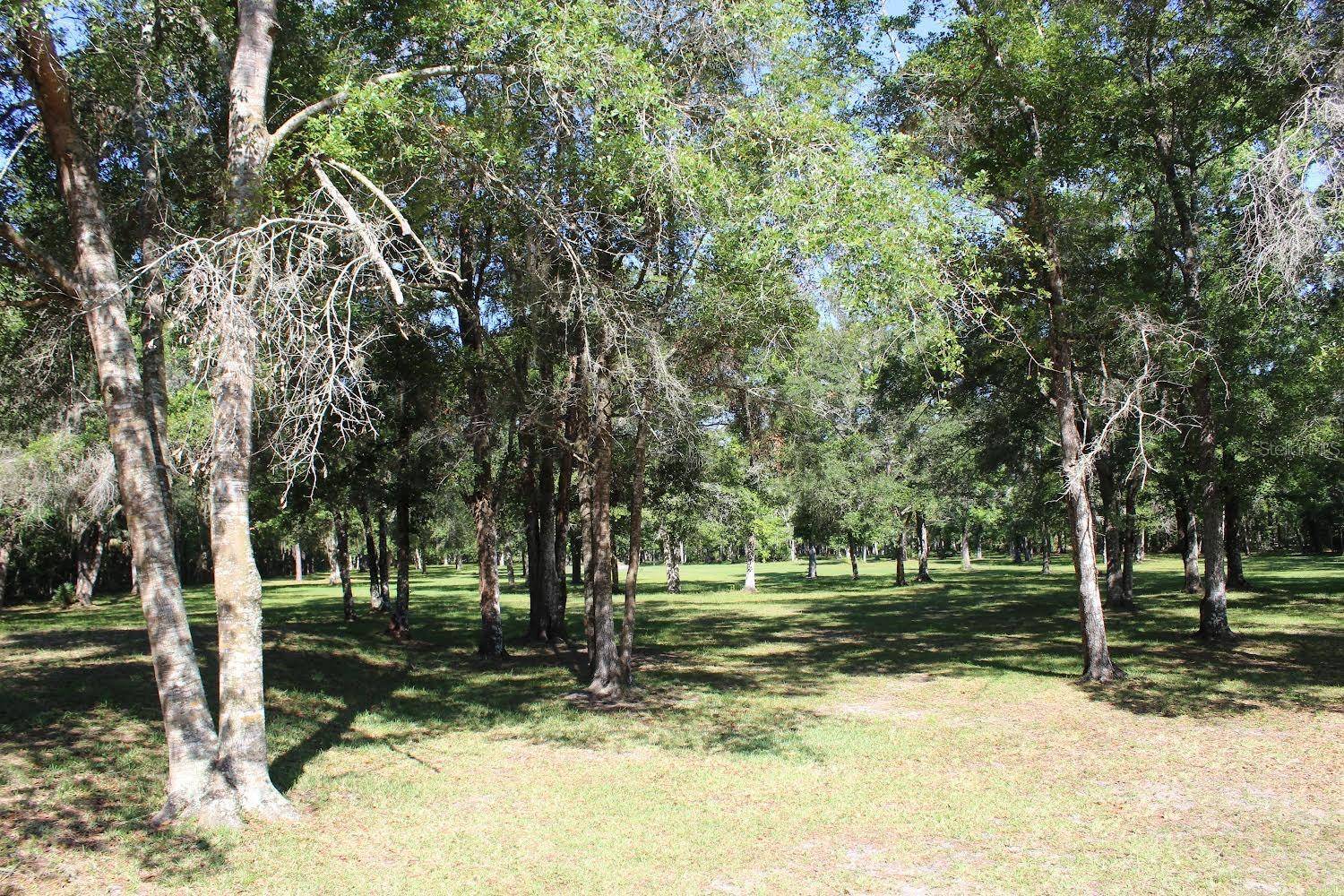 Brooksville, FL 34604,3391 RACKLEY RD