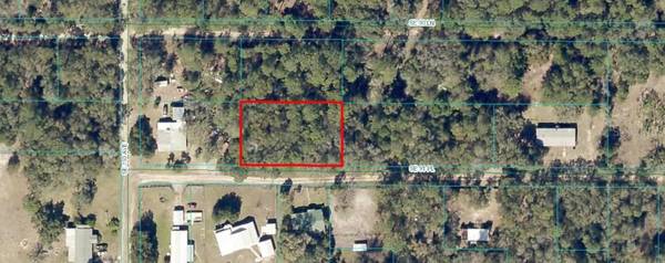 0 SE 91ST PL, Ocklawaha, FL 32179