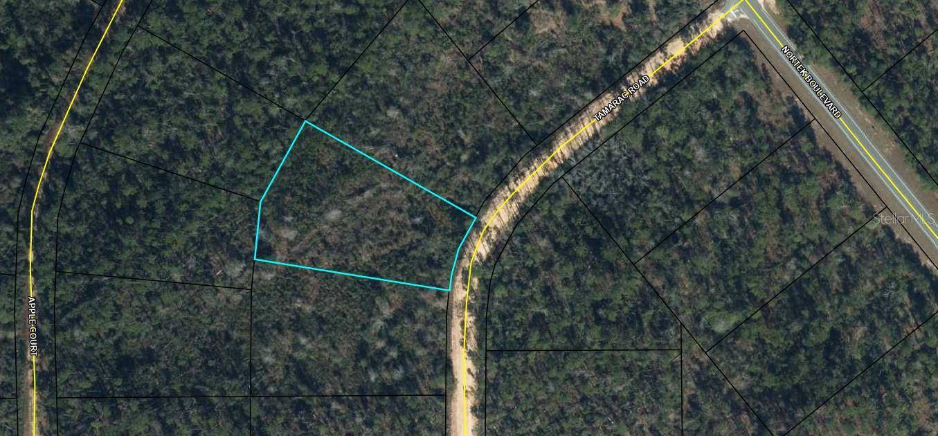 TAMARAC RD,  Marianna,  FL 32448