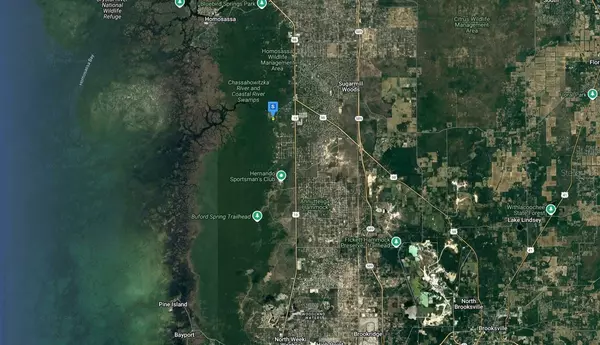 Homosassa, FL 34448,10525 S HALO PT
