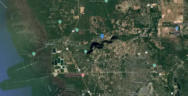 Dunnellon, FL 34431,11751 SE 197TH PL