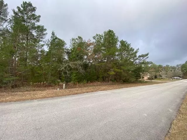 Homosassa, FL 34446,14 STATICE CT