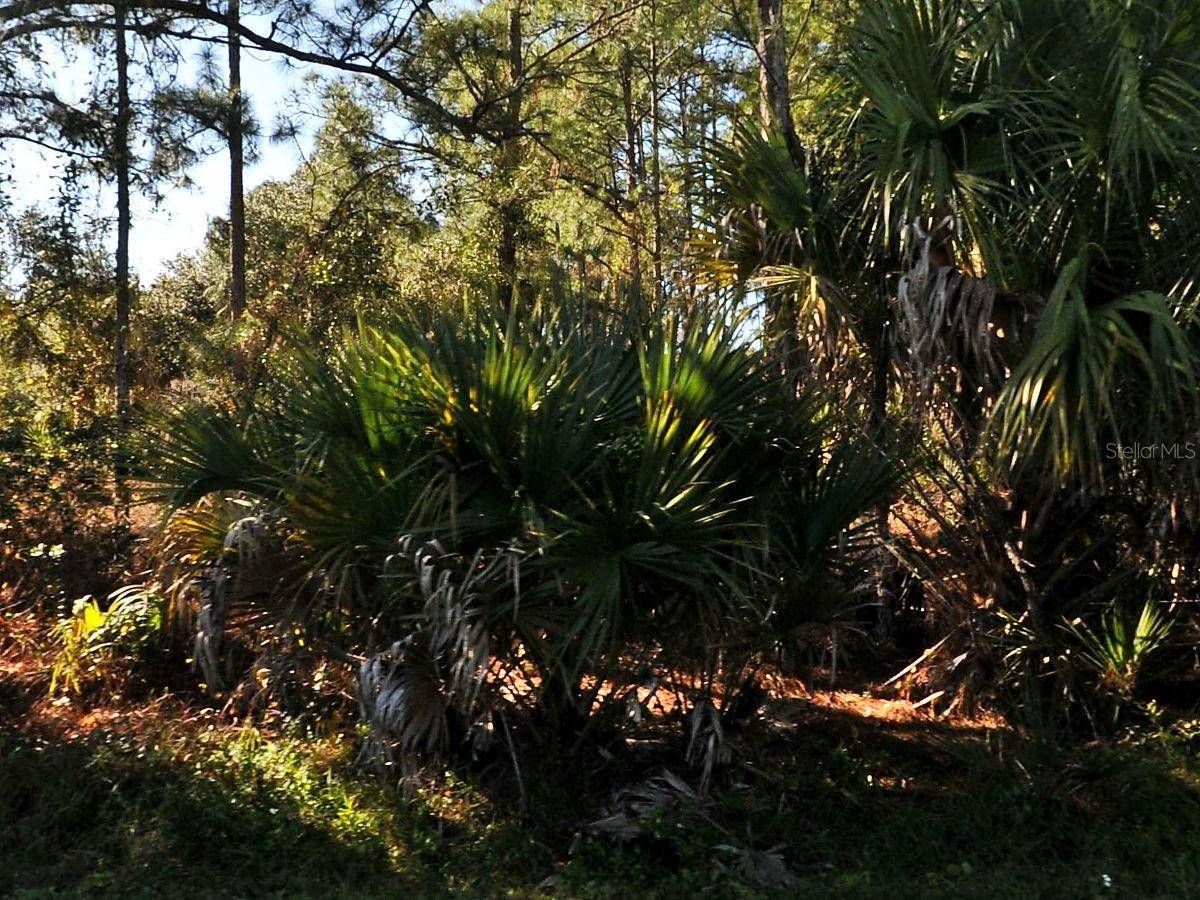 North Port, FL 34291,GRAFTON RD