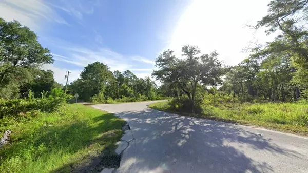 New Port Richey, FL 34654,SHALIMAR ST