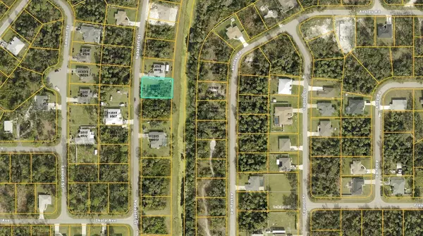 North Port, FL 34288,1135159615 NABATOFF ST