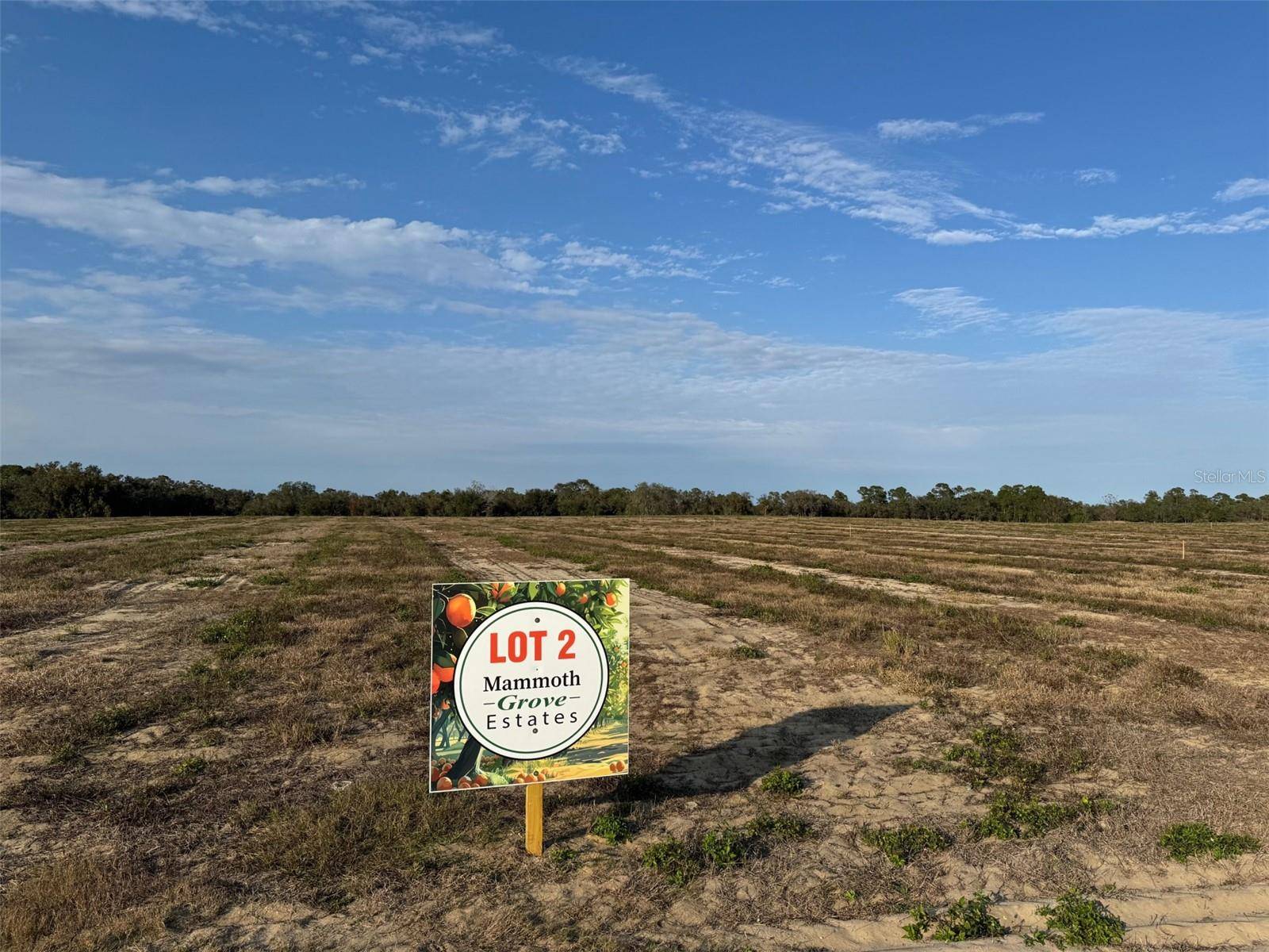 0 MAMMOTH GRV, Lake Wales, FL 33898