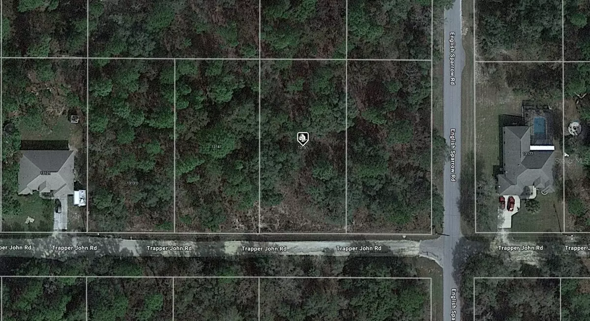 Weeki Wachee, FL 34614,13151 TRAPPER JOHN RD