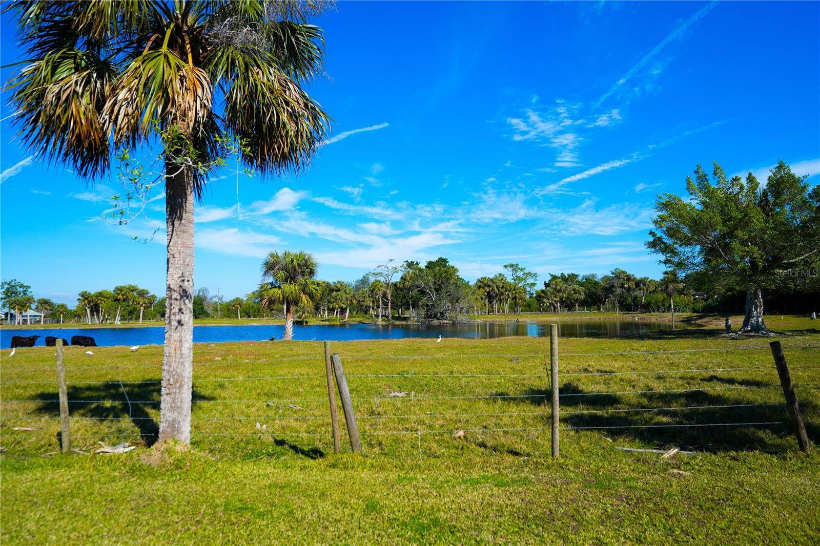 Punta Gorda, FL 33950,1226 CORAL RIDGE DR